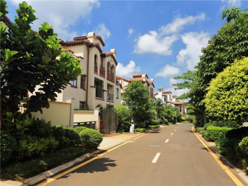 花阪亭冰淇淋菠萝包