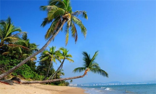 非池中酸菜鱼米饭