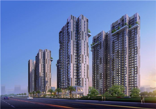 新西兰岩烧乳酪