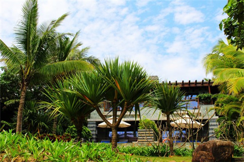 火锅主题合影区怎么设计