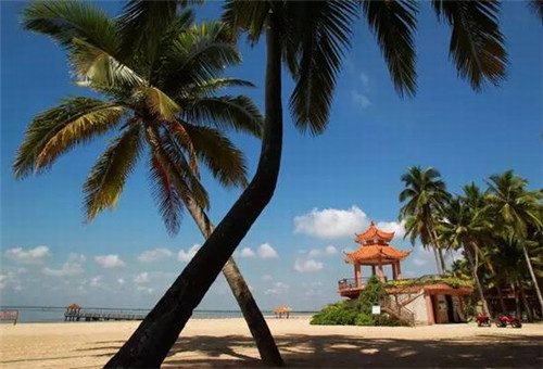 纪先生牛肉面加盟收益怎么样，纪先生牛肉面加盟开店前景怎么样