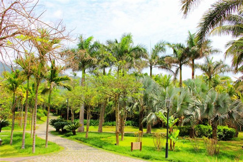 新饮料加盟费多少，新饮料加盟费多少合适