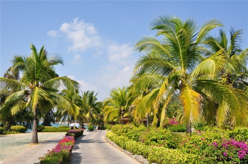 舞蹈室加盟要加盟费吗