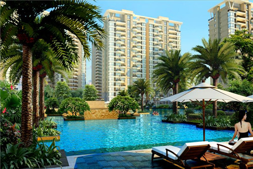 森林之子加盟费多少