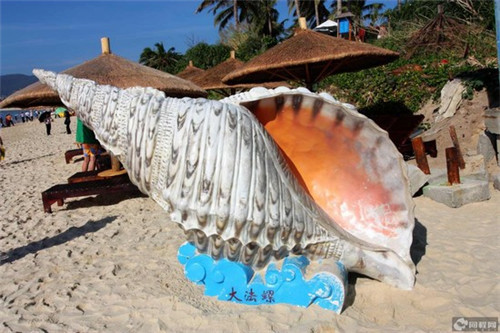 山杜鹃的十大禁忌是什么（山杜鹃鸟的图片）