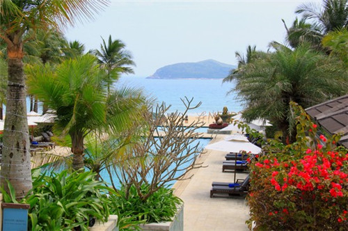 东方老虎电影在线观看（东方老虎电影在线观看国语）